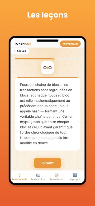 Capture d'écran Tokenami : Les leçons